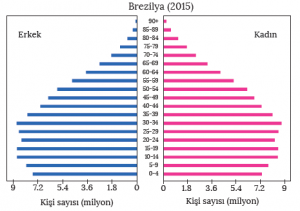 Grafik 2.10 Asimetrik şekilli nüfus piramidi (BM)