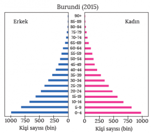 Grafik 2.8 Kenarları içe çökük nüfus piramidi (BM)