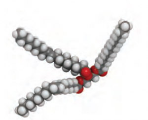 Görsel 1.64 Trigliserit molekülünün yapısı