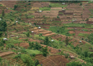 Görsel 2.19 Ekonomik faaliyet etkisiyle oluşan dağınık dokulu kırsal yerleşme (Tayland)