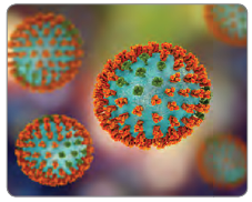 Görsel 3.64 İnfluenza (Grip virüsü)