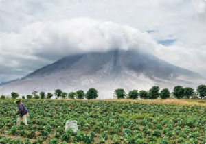 Görsel 4.14 Sinabung Volkanı ve çevresindeki tarım alanları (Endonezya)