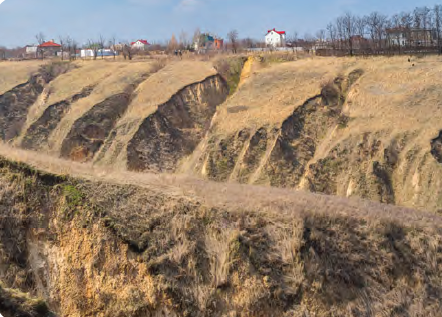 Görsel 4.20 Dinipro'da bitkilerin tahribi sonucu meydana gelen hızlandırılmış erozyon (Ukrayna)