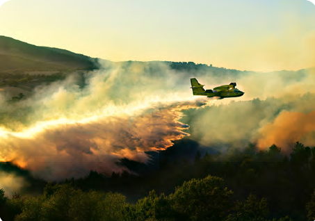 Görsel 4.29 İtalya'da meydana gelen bir orman yangınını söndürme çalışması (6 Temmuz 2017)