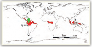 Harita 1.21 Ekvatoral iklimin dağılışı