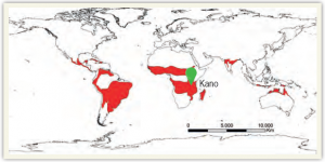 Harita 1.22 Savan ikliminin dağılışı