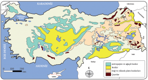 Harita 1.23 Türkiye'deki başlıca ot toplulukları (Atalay İ., 2015)
