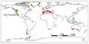Harita 1.25 Akdeniz ikliminin dağılışı