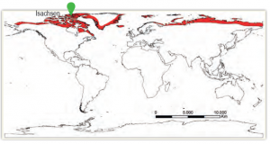 Harita 1.29 Tundra ikliminin dağılışı