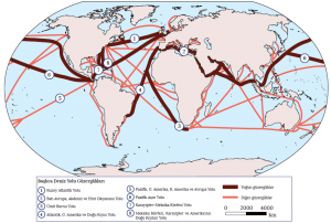 Harita 3.1 Deniz yolları ulaşım sisteminde önemli güzergâh ve bağlantılar (Tümertekin E., Özgüç N. 2013)
