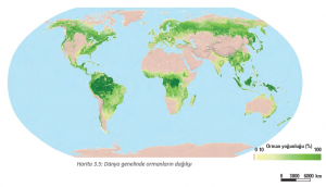 Harita 3.5 Dünya genelinde ormanların dağılışı
