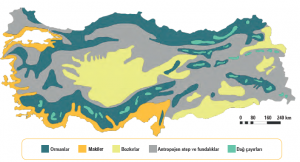 Harita 3.6 Türkiye’de bitki örtüsüne göre bölgeler