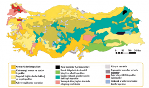 Harita 3.7 Türkiye’de toprak tiplerinin dağılışı