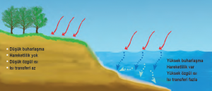 Şekil 1.36 Denizlerin ve karaların ısınma özellikleri farklıdır.