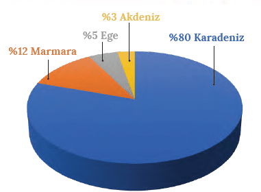 Grafik 2.13 Türkiye'de avlanan balıkların denizlere oranı (TÜİK)