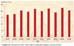 Grafik 2.6 Türkiye’nin 2007-2016 yılları arasındaki buğday üretimi (TÜİK)