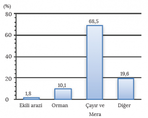 Grafik 3.6 Somali’de arazi kullanımı (FAO)