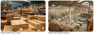 Görsel 2.129 Orman ürünleri - Görsel 2.130 Mobilya fabrikası