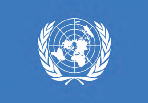 Görsel 3.39 Birleşmiş Milletler amblemi (BM)