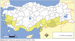 Harita 2.11 Türkiye'de pamuk üretimi (TÜİK, 2016)