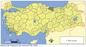 Harita 2.16 Türkiye'de bal üretimi (TÜİK, 2016)