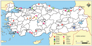 Harita 2.3 Türkiye’de bazı şehirlerin fonksiyonel özellikleri