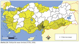 Harita 2.8 Türkiye'de mısır üretimi (TÜİK, 2016)