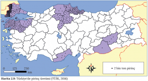 Harita 2.9 Türkiye'de pirinç üretimi (TÜİK, 2016)