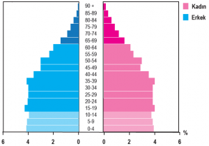 2016 yılına ait Türkiye nüfusunun yaş piramidi